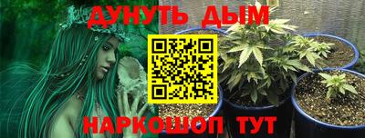 сатива Лесосибирск