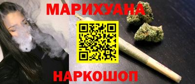 сатива Лесосибирск