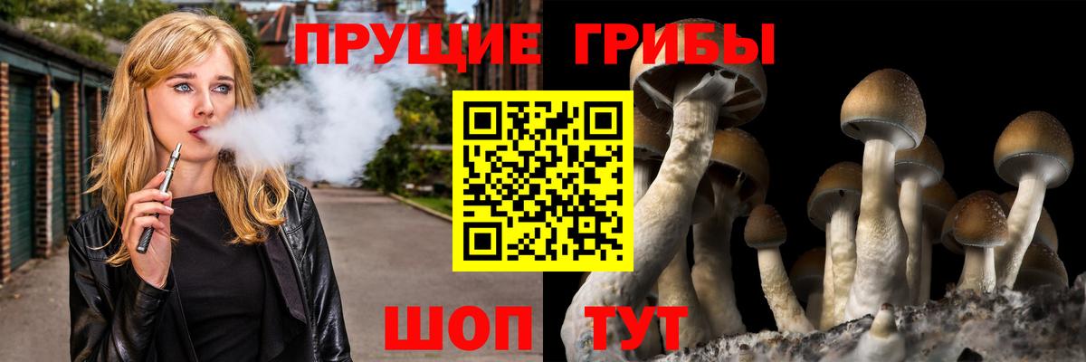 Карпинск  Галлюциногенные грибы Psilocybe  Псилоцибиновые грибы Magic Shrooms  Вход с VPN 