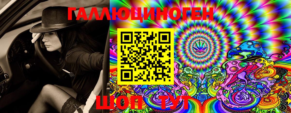 Псилоцибиновые грибы Cubensis Карпинск
